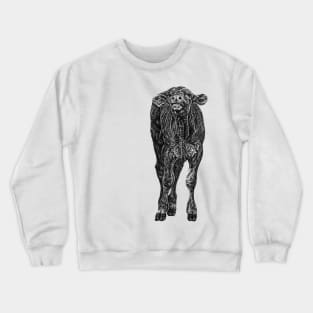 South Devon baby cow calf Crewneck Sweatshirt